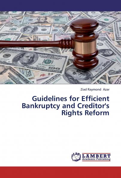 Guidelines for Efficient Bankruptcy and Creditor's Rights Reform