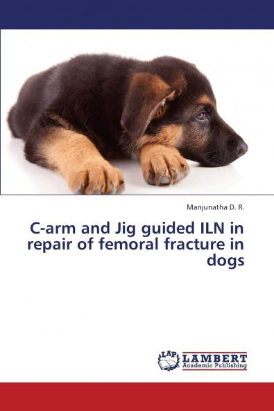 C-Arm and Jig Guided Iln in Repair of Femoral Fracture in Dogs