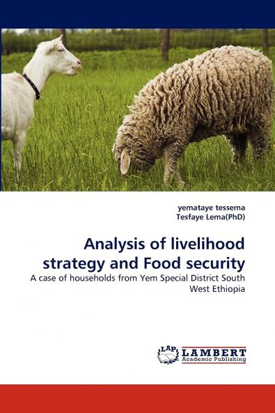 Analysis of livelihood strategy and Food security
