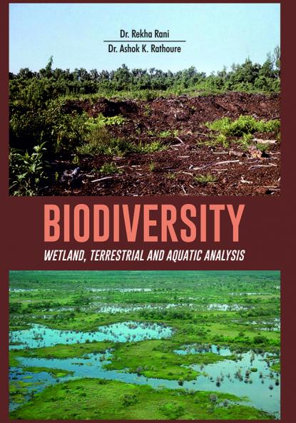 Biodiversity - Wetland Terrestrial and Aquatic Analysis