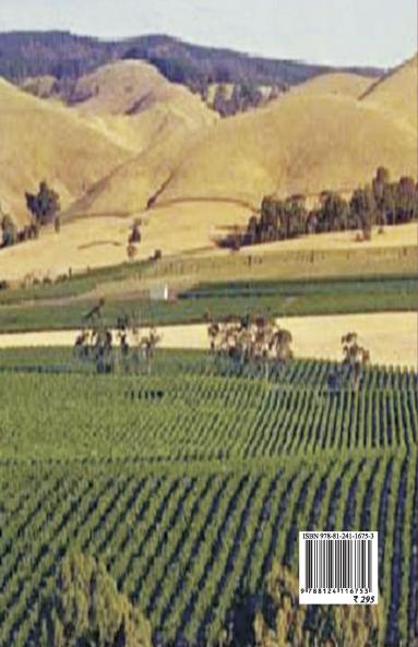 The Night of Silvery Moon over Barossa Valley