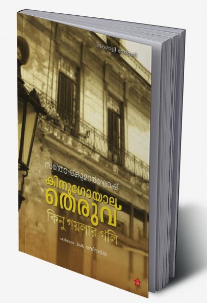 Kinugoyala theruvu