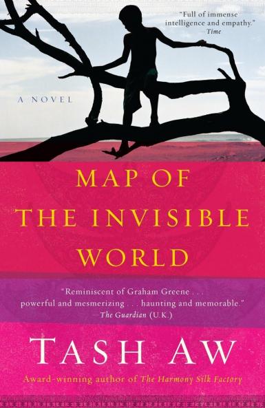 MAP OF THE INVISIBLE WORLD