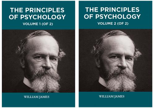 THE PRINCIPLES OF PSYCHOLOGY (SET OF 1 VOLS & 2 VOLS