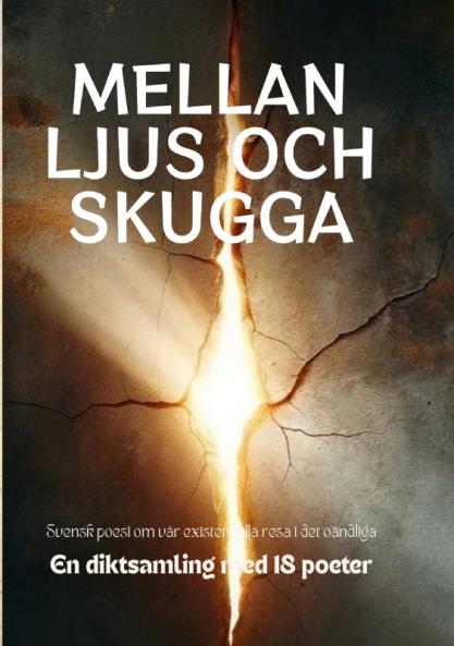 Mellan Ljus och Skugga