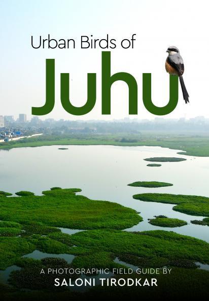 Urban Birds of Juhu: A Photographic Field Guide by Saloni Tirodkar (Full Colour)