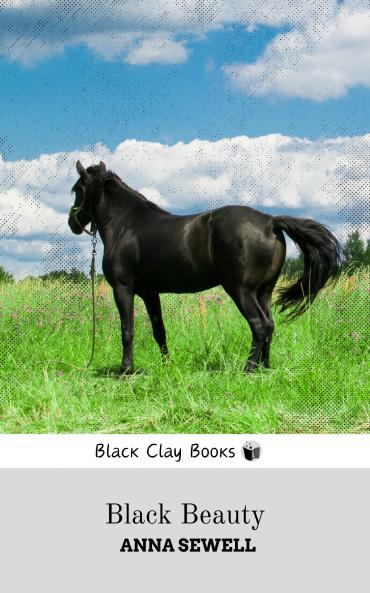 BLACK BEAUTY