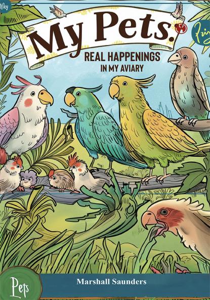 MY PETS Real Happenings in My Aviary