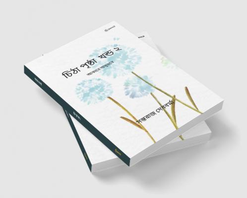 চিঠা পৃষ্ঠা খন্ড ২: আকারে অনুভবে (The Notebook Vol. 2)