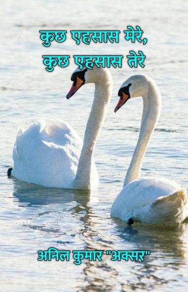 कुछ एहसास मेरे कुछ एहसास तेरे