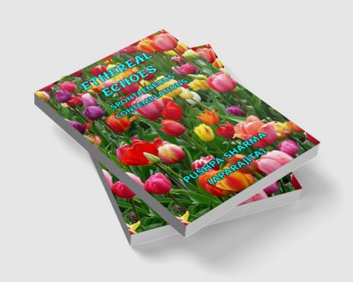 ETHEREAL ECHOES : SPONTAENEOUS CONTEMPLATIONS