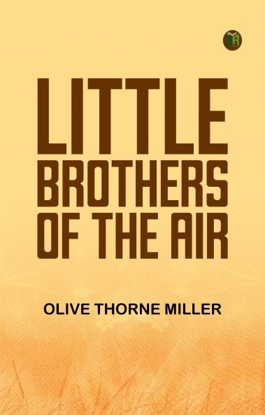 Little Brothers of the Air