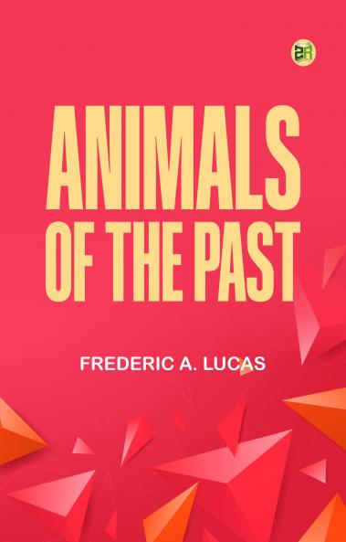 Animals of the Past