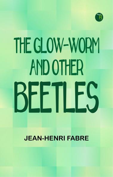 The Glow-Worm and Other Beetles