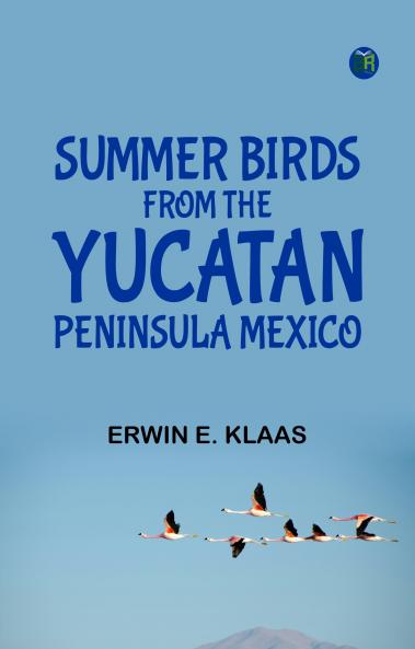Summer Birds From the Yucatan Peninsula Mexico