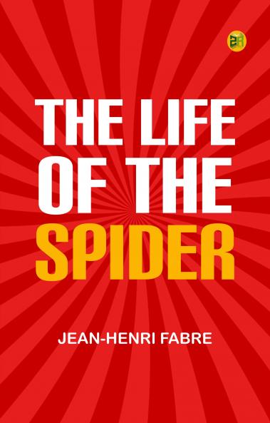 The Life of the Spider