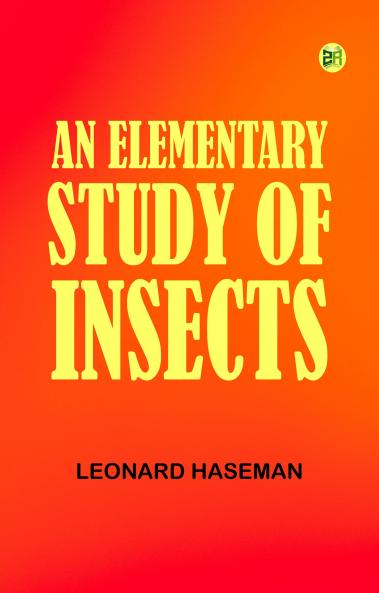 An Elementary Study of Insects