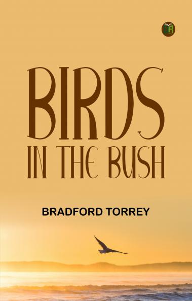 Birds in the Bush