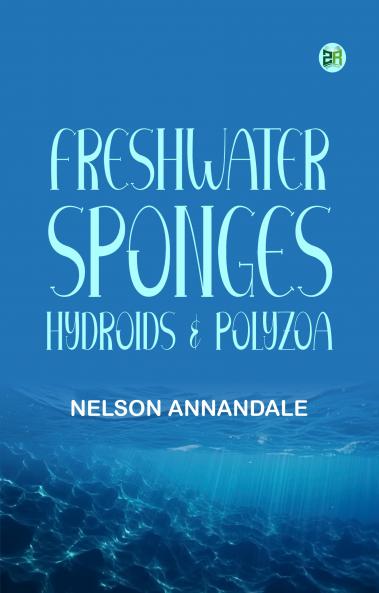 Freshwater Sponges Hydroids & Polyzoa