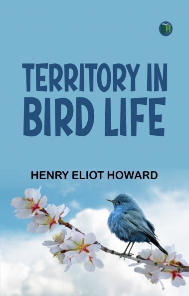 Territory in Bird Life