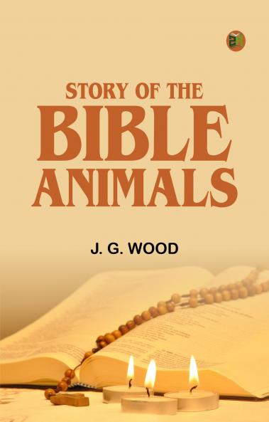 Story of the Bible Animals