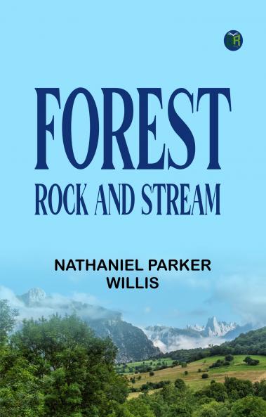 Forest Rock And Stream