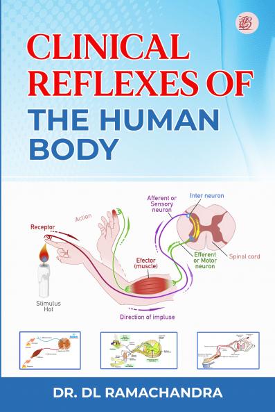 Clinical Reflexes of the Human Body