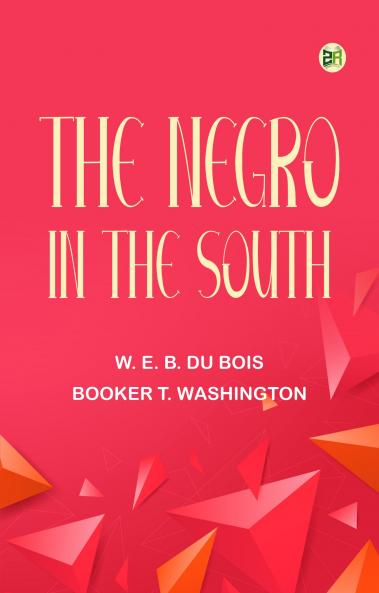 The Negro in the South