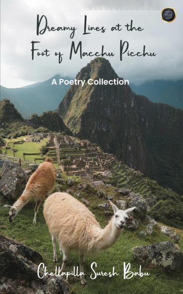 Dreamy Lines at the Foot of Macchu Picchu