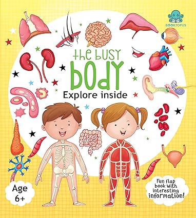 Lift A Flap - Inside Our Body