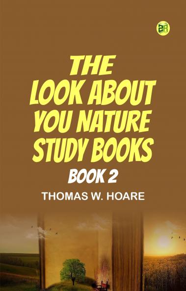 The 'Look About You' Nature Study Books  Book 2