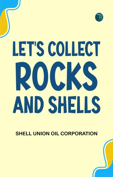 Let's Collect Rocks and Shells