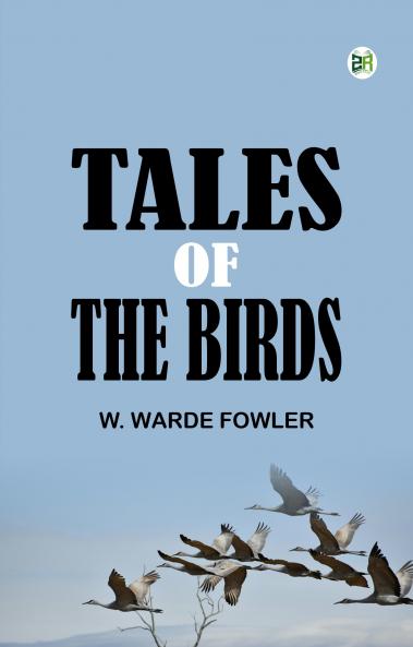 Tales of the birds