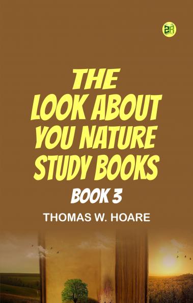 The 'Look About You' Nature Study Books  Book 3