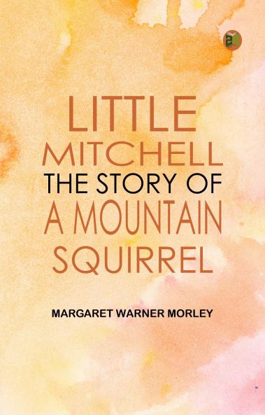 Little Mitchell The Story of a Mountain Squirrel