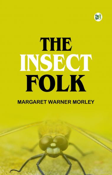 The Insect Folk