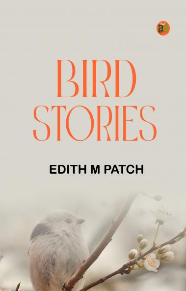 Bird Stories
