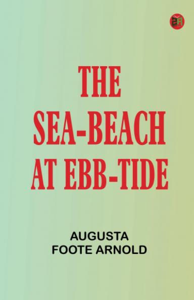 The Sea-beach at Ebb-tide