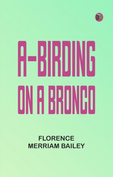 A-Birding on a Bronco