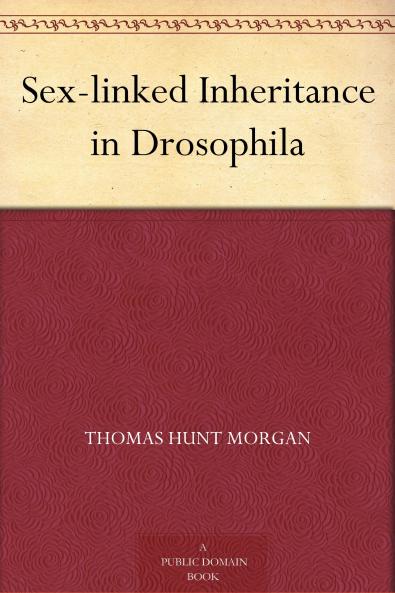 Sex-linked Inheritance in Drosophila
