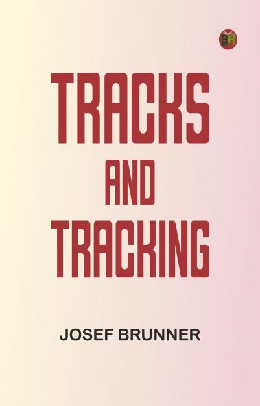Tracks and Tracking