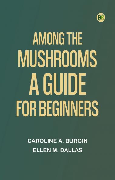 Among the Mushrooms: A Guide For Beginners