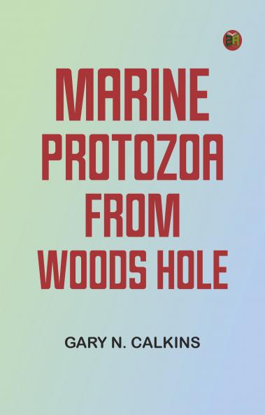 Marine Protozoa from Woods Hole