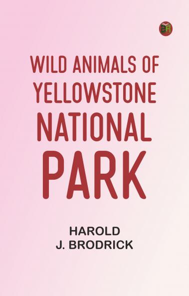Wild Animals of Yellowstone National Park