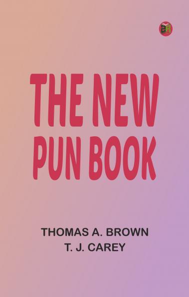 The New Pun Book