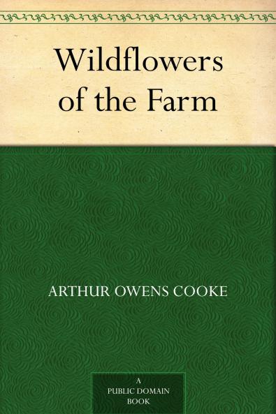 Wildflowers of the Farm