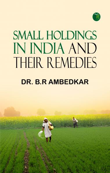 Small Holdings In India And Their Remedies