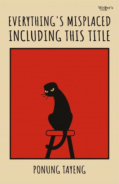 Everything's Misplaced Including This Title