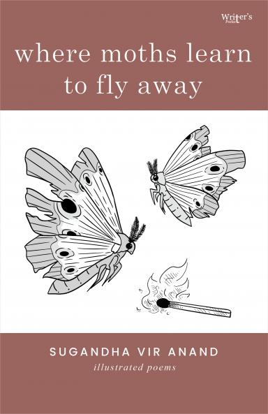 where moths learn to fly away