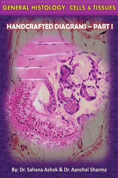 General Histology – Cells & Tissues Handcrafted Diagrams